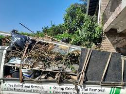 Best Construction Debris Removal  in Spirit Lake, IA